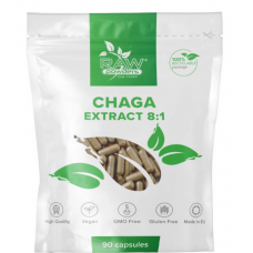 Raw Powders Chaga 8:1 Extrakt (500 mg. 90 Kapseln)